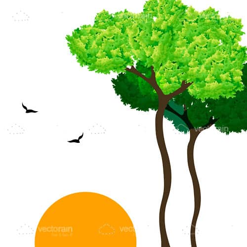 Nature Scene with Trees, Sun and Birds